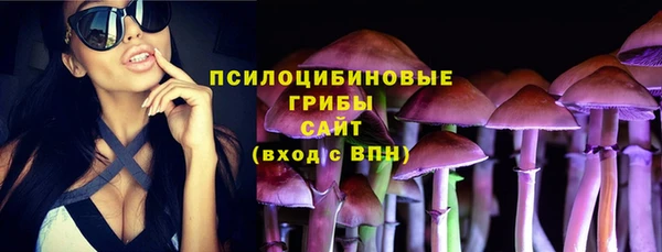 ешки Богородицк