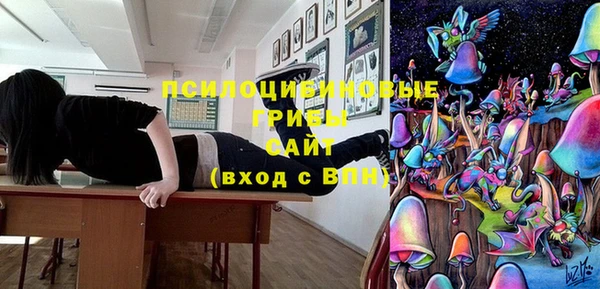 экстази Богородск