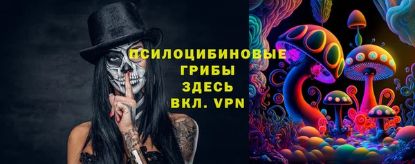 дживик Балахна