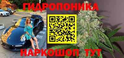 a pvp Кимры