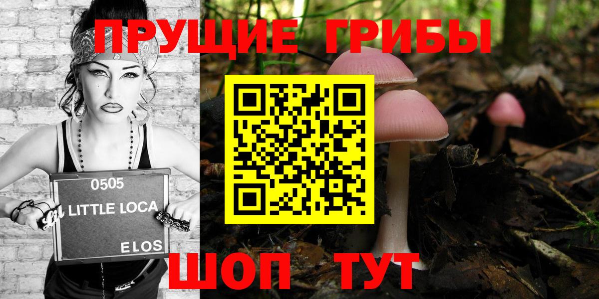 Галлюциногенные грибы мицелий  Вход с VPN  закладка  Валуйки  Псилоцибиновые грибы GOLDEN TEACHER 
